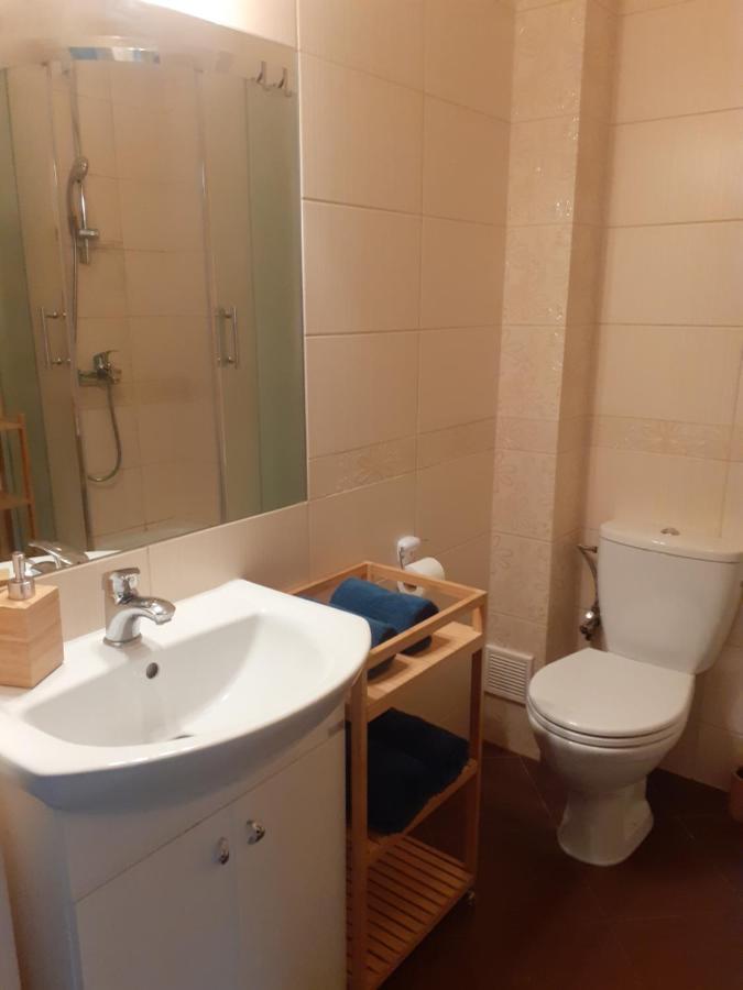 Sloneczny Apartament Z Malym Ogrodkiem 威赫罗伏 外观 照片