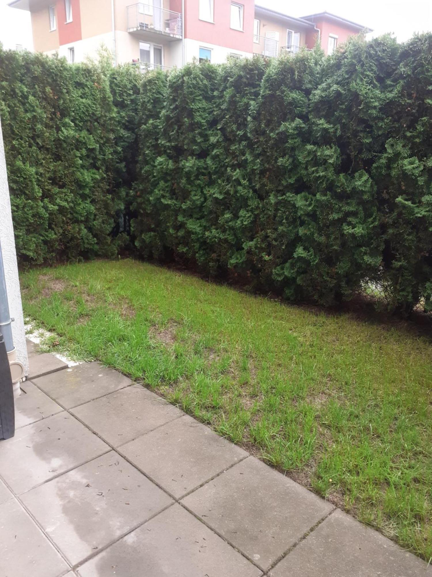 Sloneczny Apartament Z Malym Ogrodkiem 威赫罗伏 外观 照片